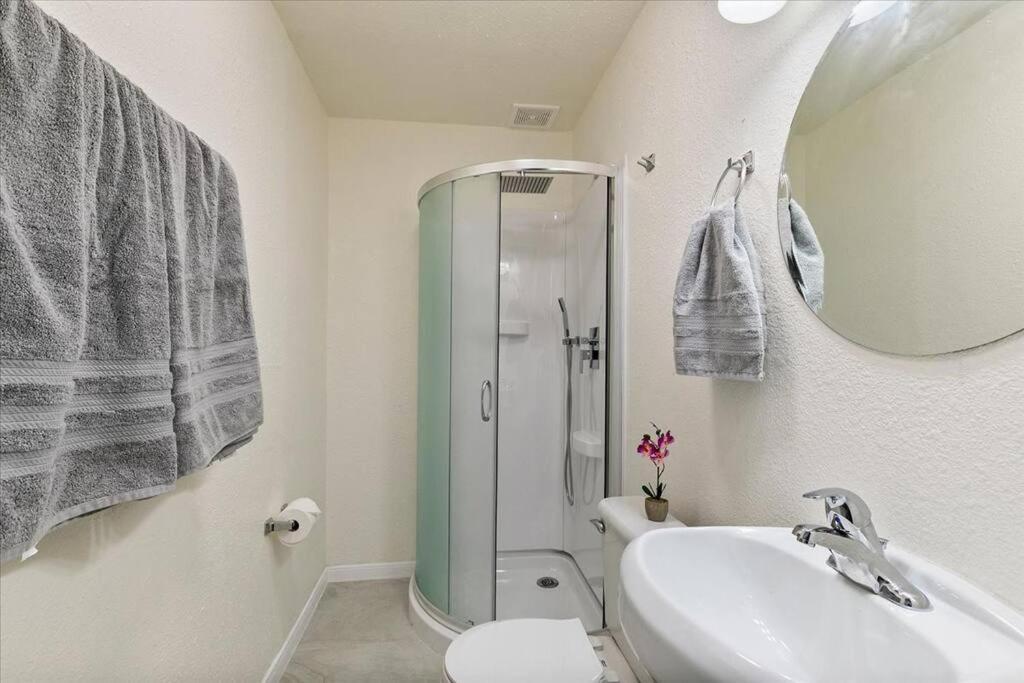 Lucky House - Tranquility In The Middle Of Houston - Tv In Every Room - 300 M2 외부 사진